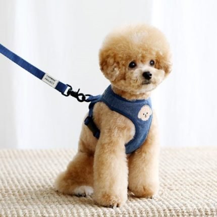 bebe custom harness.02(blue)