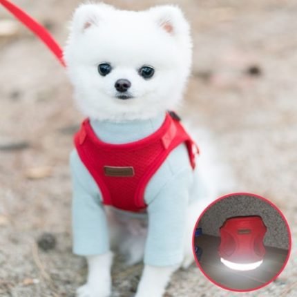 미즈펫 강아지 하네스 가슴줄 리드줄 레드