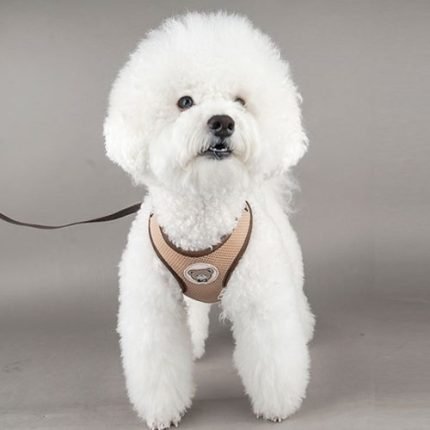 매쉬 하네스(브라운)