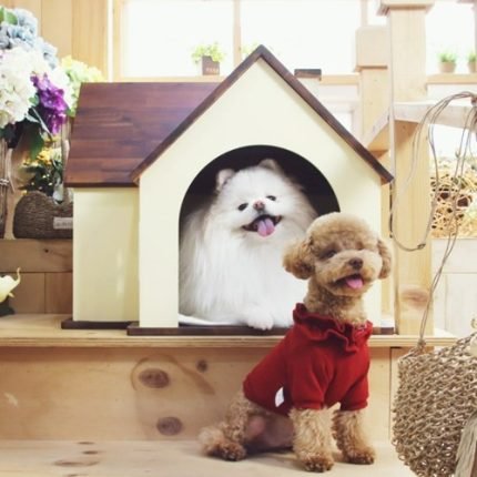 수제공작소 아카시아원목 강아지집 펫하우스 애견하우스