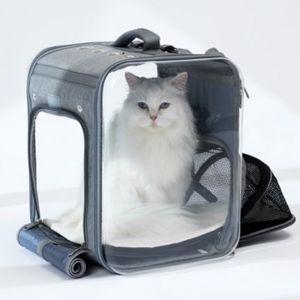 타임리스 확장형 폴더블 투명백팩 애견백팩 A10