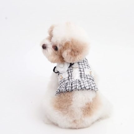 까멜리아 트위드 하네스 (블랙)