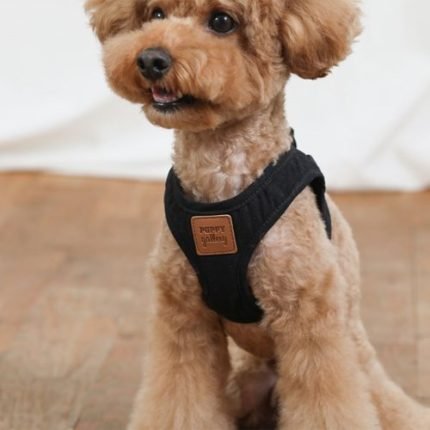 소프트터치 코튼 하네스[블랙]