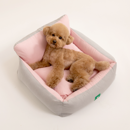 페스텝 나른이 강아지방석