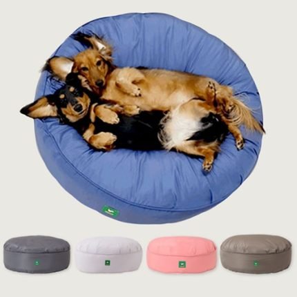 페스텝 알러지케어 마카롱 강아지방석