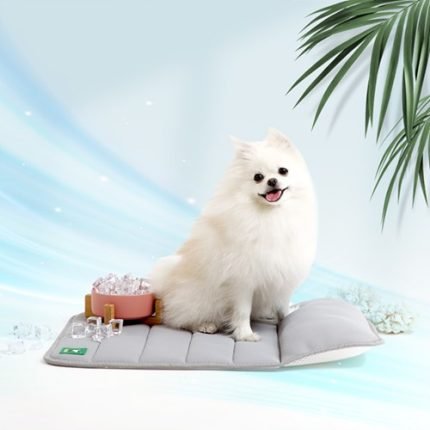 페스텝 바람솔솔 에어매쉬 강아지쿨매트 방석