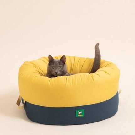 페스텝 호박 고양이방석