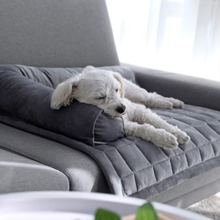 돈무브 강아지 방석 애견 고양이 반려동물 방석
