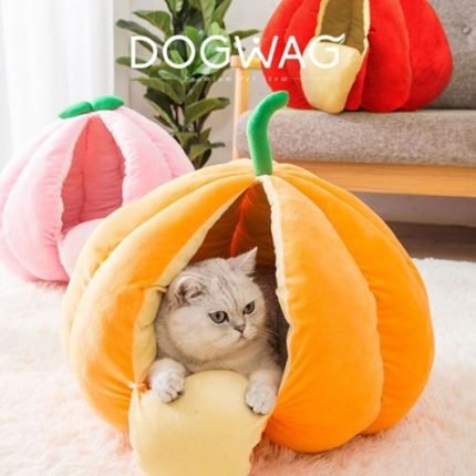 도그웨그 과일 숨숨집 새끼 고양이 하우스 집