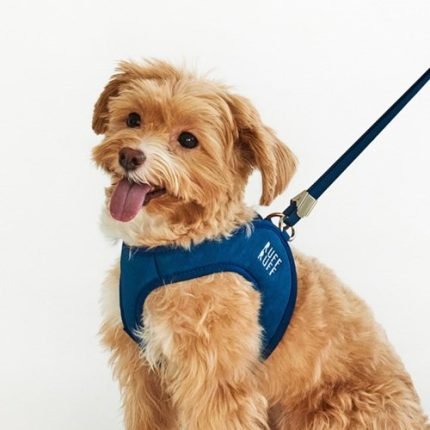 러프러프 이지핏 하네스  미디움 (4종)