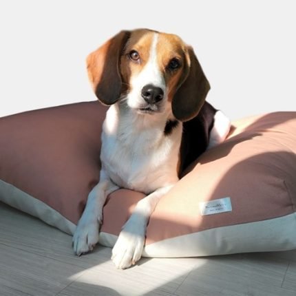 마벨러스홈데코 순면 강아지 고양이 쿠션 개방석방석 침대