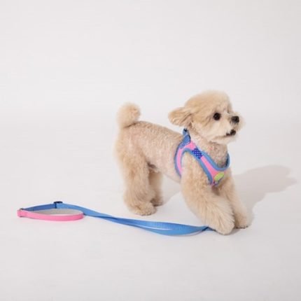 플러스알파 하네스[핑크]