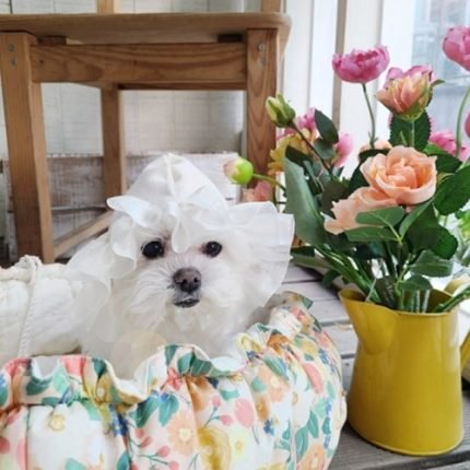 강아지 고양이쿠션./오스틴 꽃바구니 쿠션
