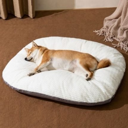 강아지 방석 쿠션  꿀잠 무중력 방석