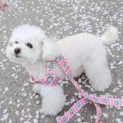 비브멍 카툰 하네스