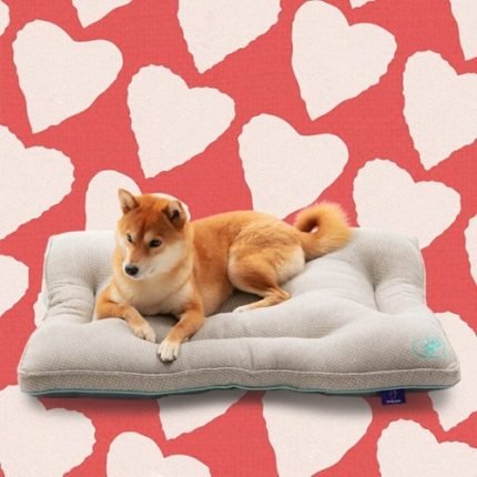 세균,냄새,정전기 걱정없는 제로방석 슬림V2