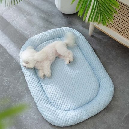 강아지쿨매트 고양이 여름 냉감 3D 볼륨 패드 방석 애견 S-L