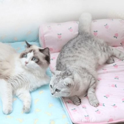 강아지매트 고양이쿨매트 애견 냉감 쿨매트 패드 여름 논슬립
