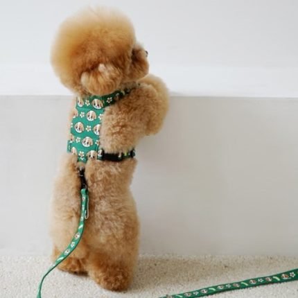 아미떼 h형 하네스(그린)