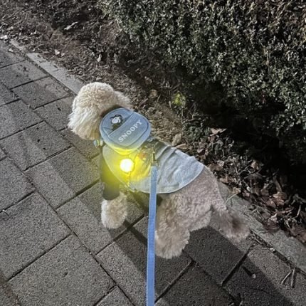 [Peanuts] 피너츠 블링커