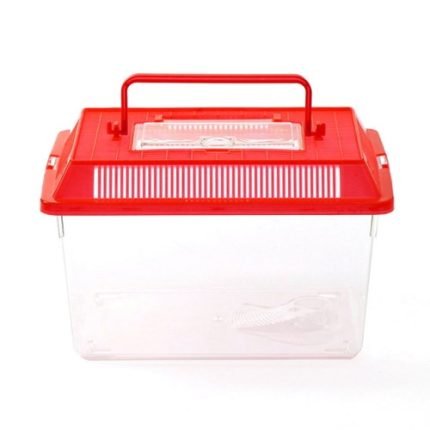 곤충채집 사육통 21x14cm 곤충채집통 햄스터집